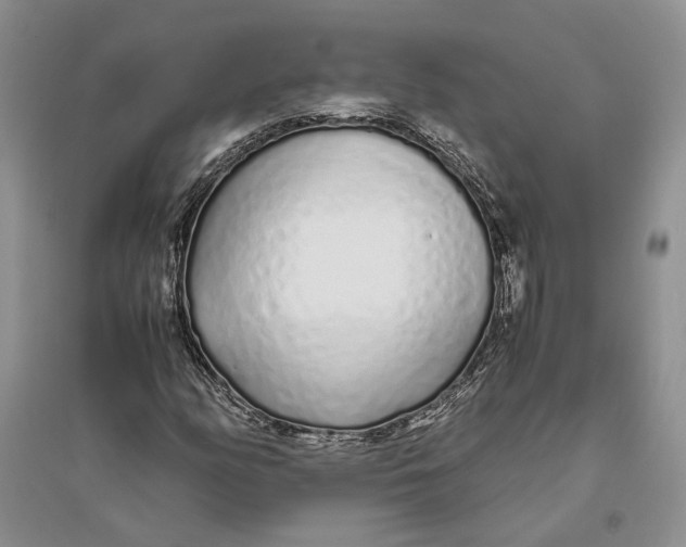 X0000094081158200711091208