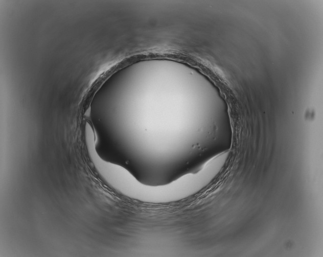X0000094081160200711091208