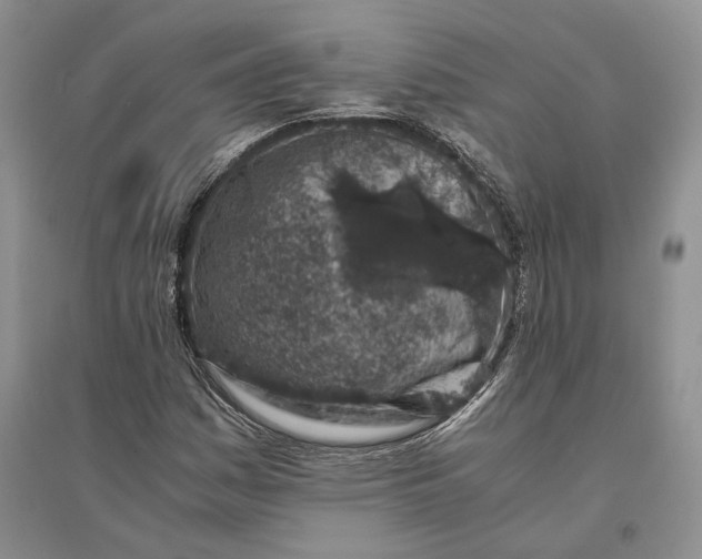 X0000094081161200711091208