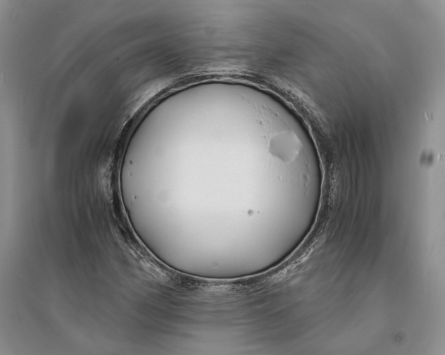 X0000094081162200711091208