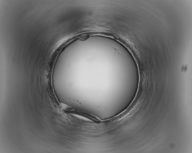 X0000094081163200711091208