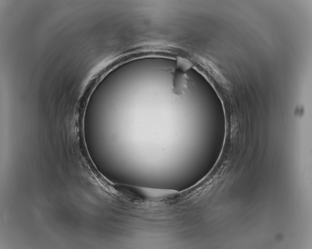 X0000094081164200711091208