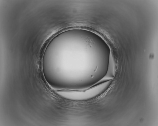 X0000094081165200711091208