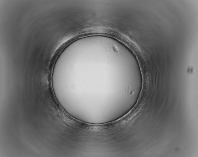X0000094081166200711091208
