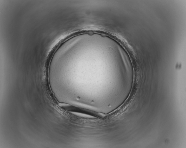 X0000094081167200711091208