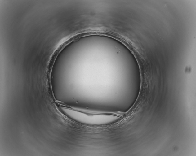 X0000094081168200711091208