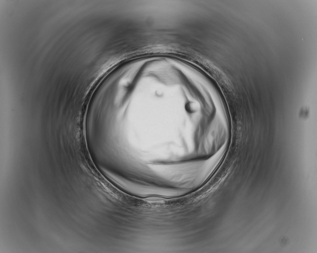 X0000094081170200711091208