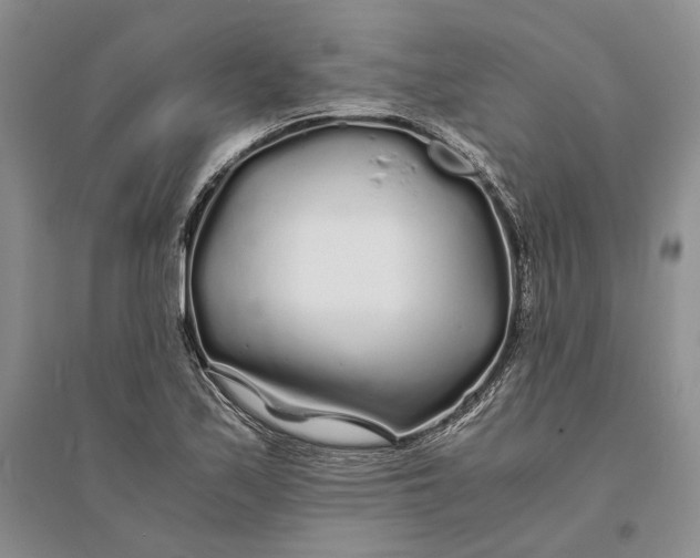 X0000094081171200711091208