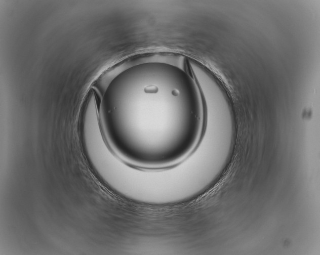 X0000094081173200711091208