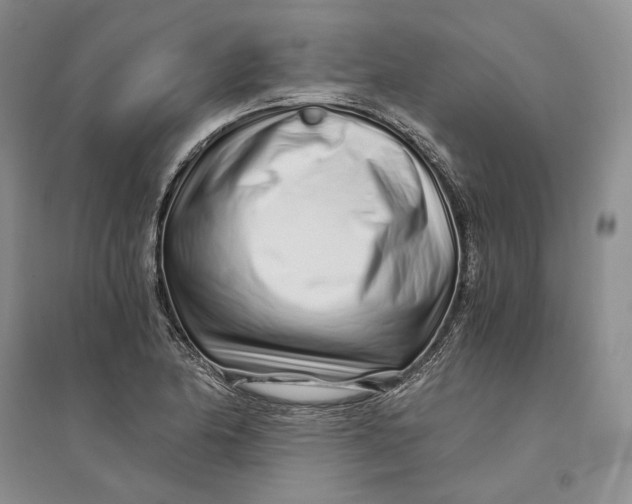X0000094081174200711091208