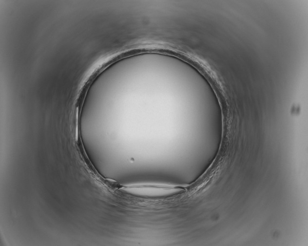 X0000094081175200711091208