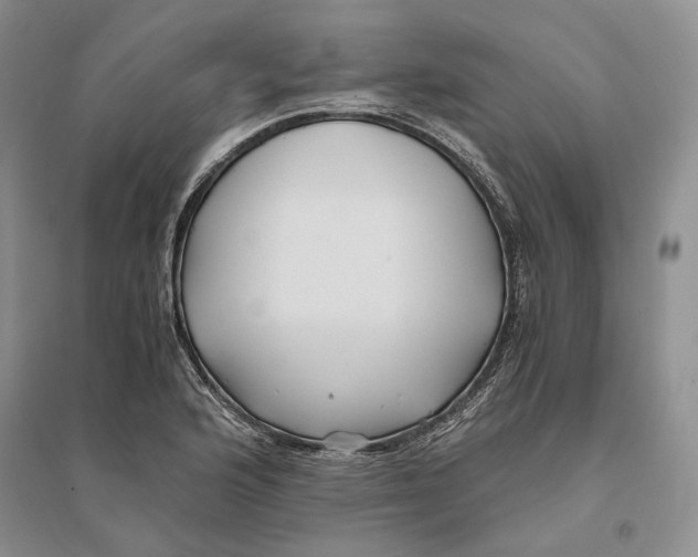 X0000094081176200711091208