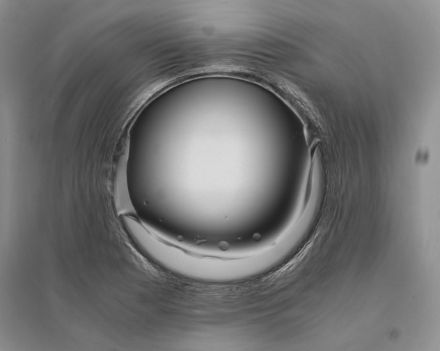 X0000094081177200711091208