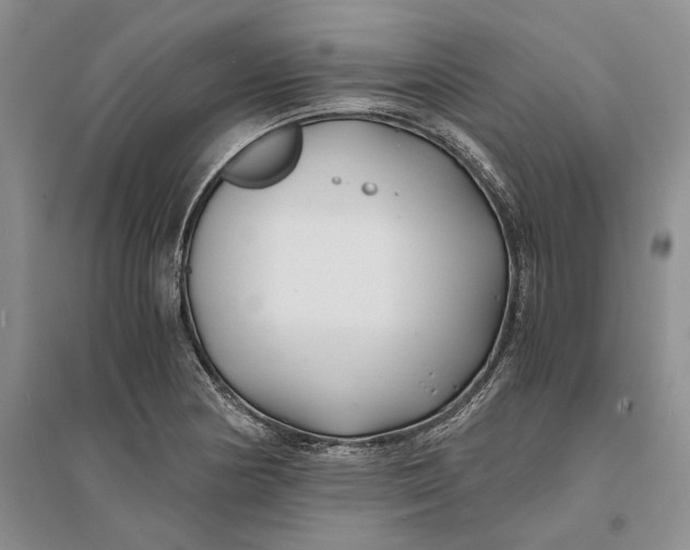 X0000094081178200711091208