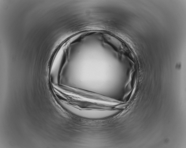 X0000094081179200711091208