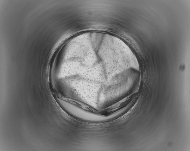 X0000094081180200711091208