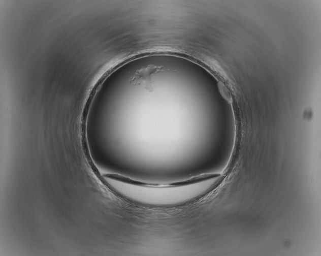 X0000094081181200711091208