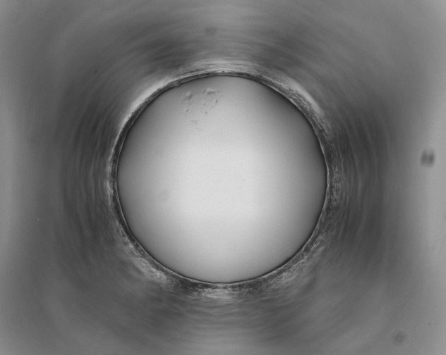 X0000094081182200711091208