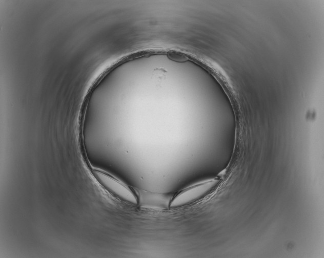 X0000094081183200711091208