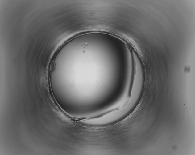 X0000094081184200711091208