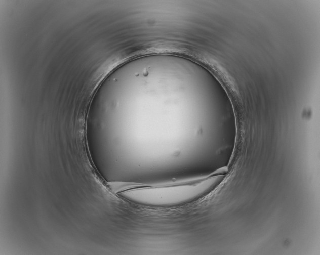 X0000094081185200711091208