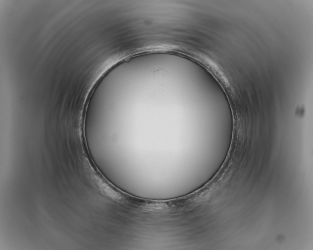 X0000094081186200711091208
