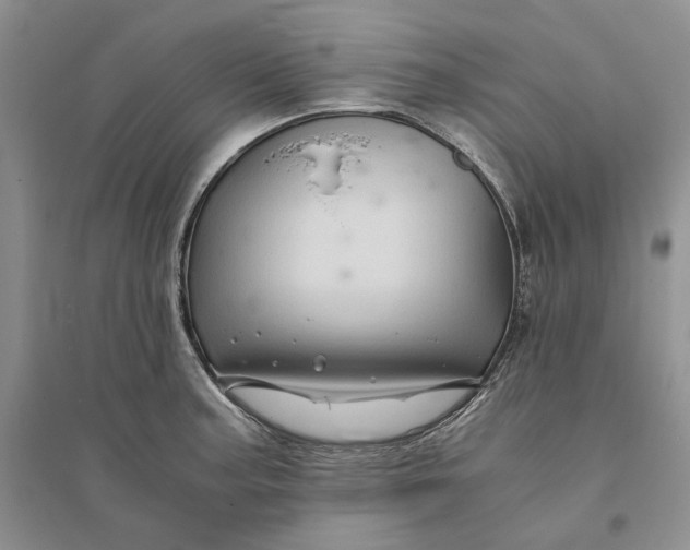 X0000094081187200711091208