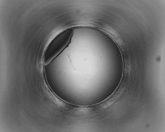 X0000094081188200711091208