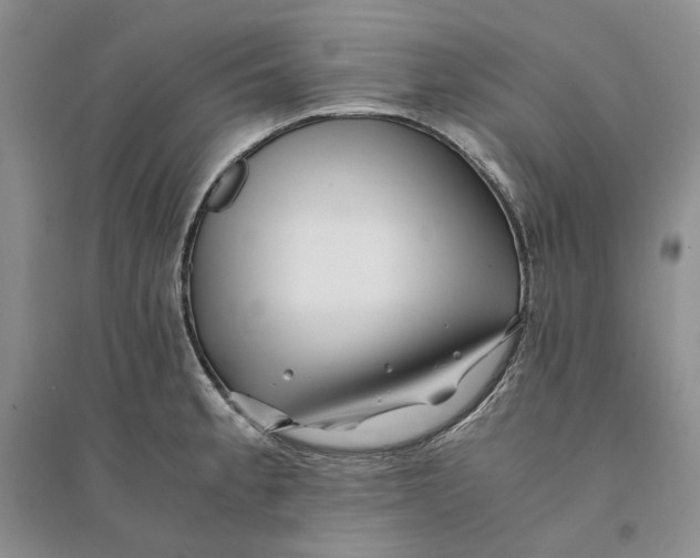 X0000094081189200711091208
