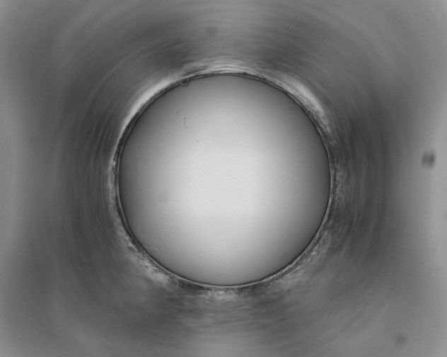 X0000094081190200711091208