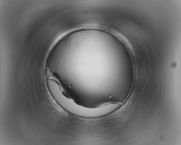 X0000094081192200711091208