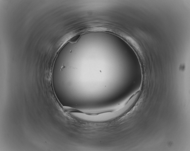 X0000094081193200711091208