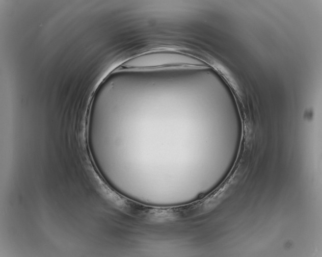 X0000094081194200711091208