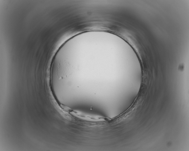 X0000094081195200711091208