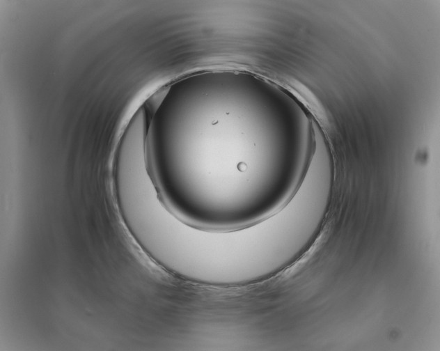 X0000094081196200711091208