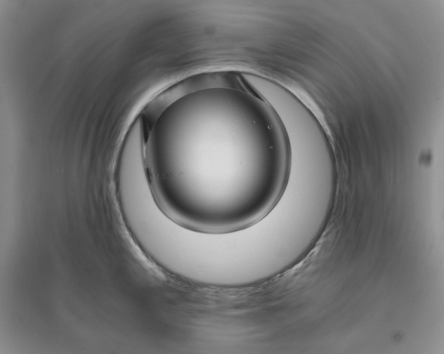 X0000094081197200711091208