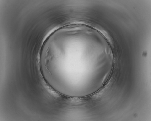 X0000094081198200711091208