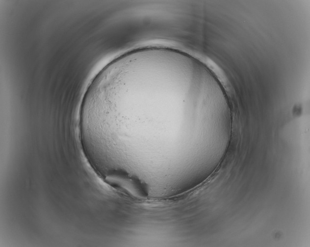 X0000094081199200711091208