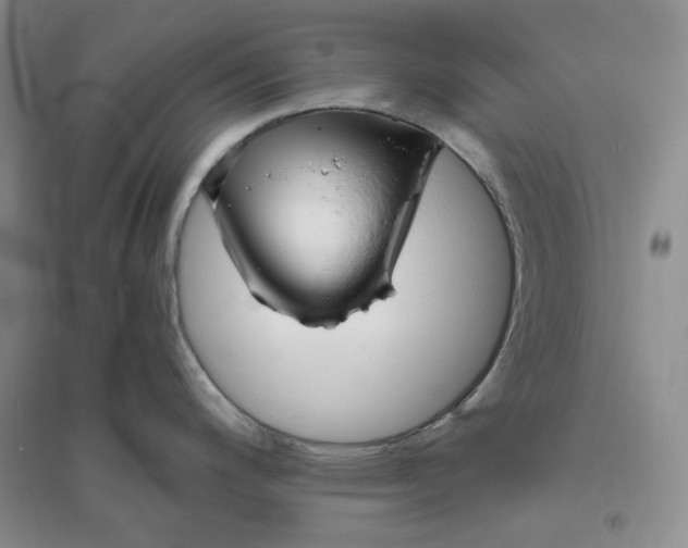 X0000094081200200711091208