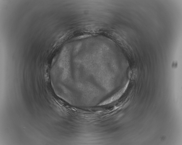 X0000094081202200711091207
