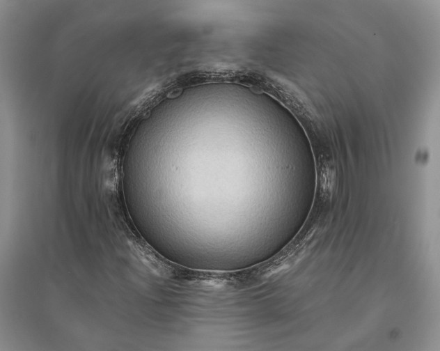 X0000094081204200711091207