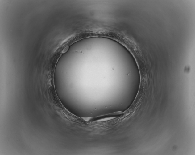 X0000094081205200711091207