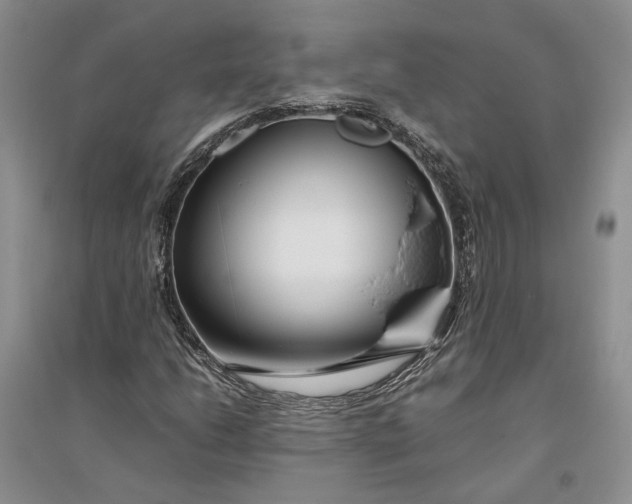 X0000094081206200711091207