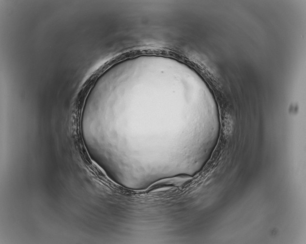 X0000094081208200711091207