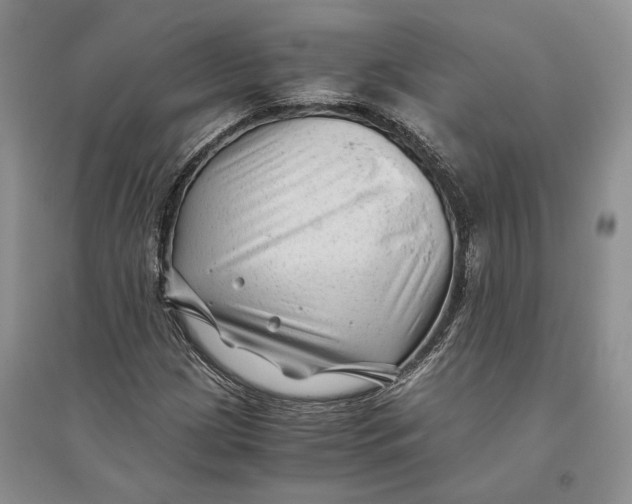 X0000094081209200711091207