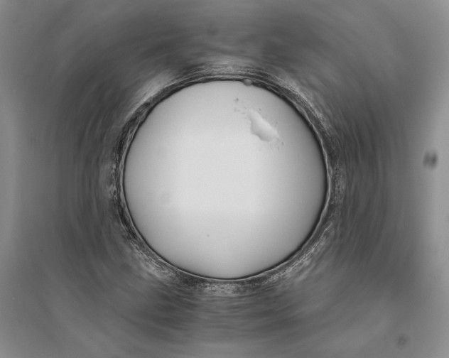 X0000094081211200711091207