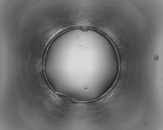 X0000094081212200711091207
