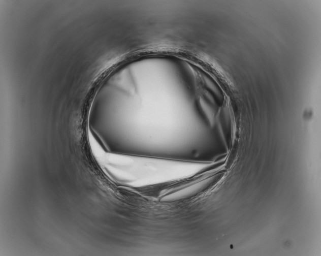 X0000094081213200711091207