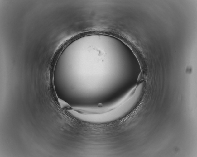 X0000094081214200711091207