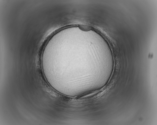 X0000094081215200711091207